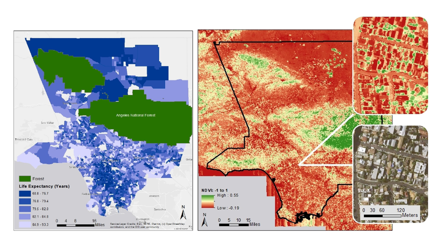 USALEEP LE estimates for LA County, 2010 – 2015 (left) and normalized difference vegetation index (NDVI) in Los Angeles, 2016 (right). Angeles National Forest was excluded from the analysis.