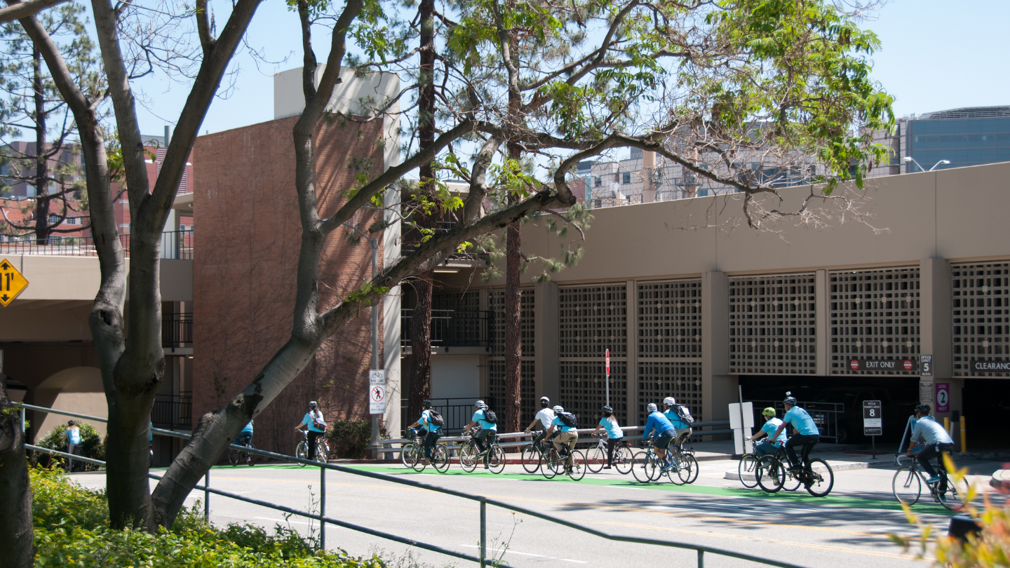 Cyclists using a green bike lane during Tour de UCLA 