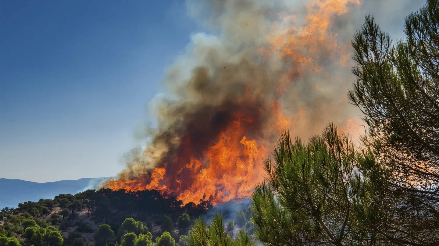 2025.01.14_fire_hill_123rf